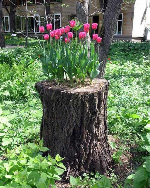 Trunk med tulpan-the-garden-decoration idé
