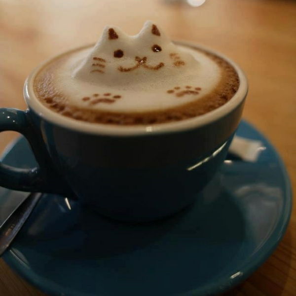 Šálka ​​kávy s-a-Cat z penovej dekorácie myšlienke