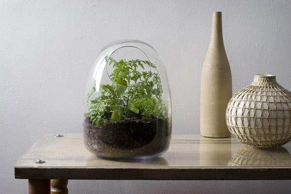 Terrarium self-build-recycled glas decoratief huis ideeën