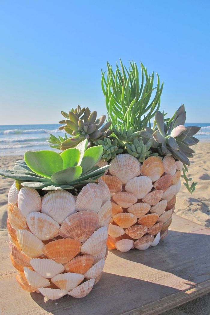 Potteplanter skjell Dekor strand sjø-sand-sommer