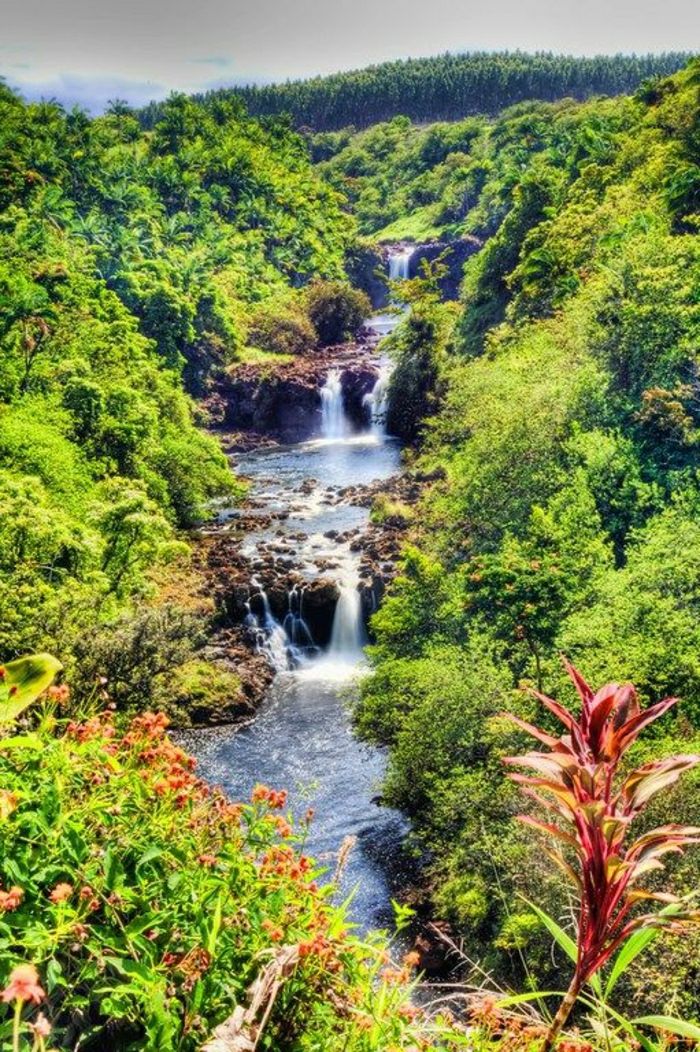 Umauma vodopád Big Island Hawaii