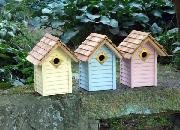 Paukščių maitinimosi namai-sau-priėmimo pastelinės spalvos