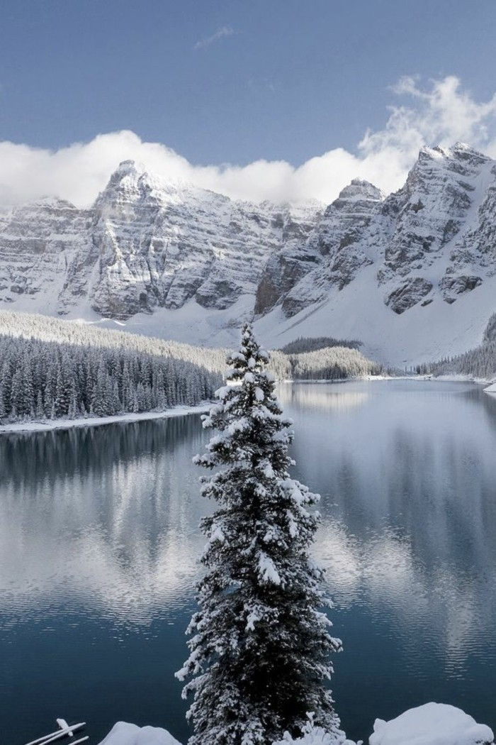 Immagine invernale di Colorado USA Fiume Ghiaccio Neve