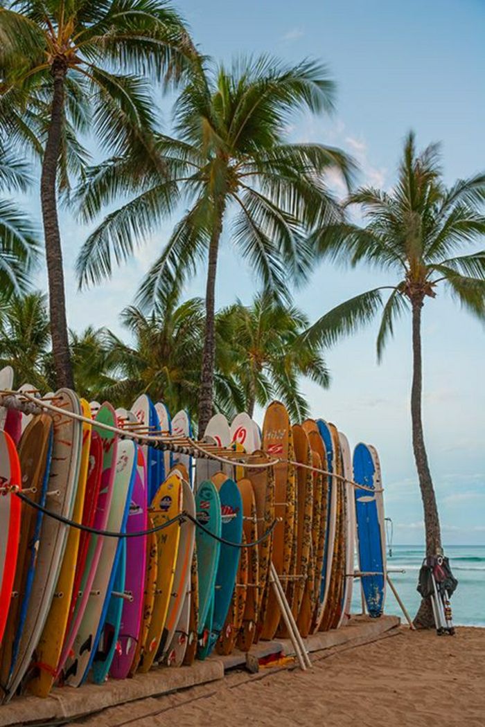 Waikiki Beach Oahu Island Hawaii Surfing