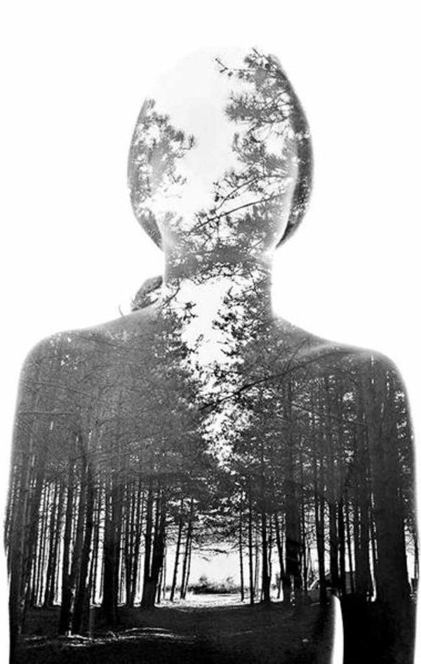 siluetă pădure fără feței