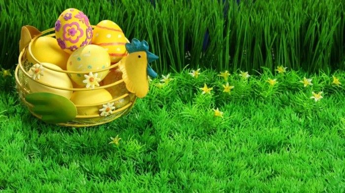 Bakgrund påsk kyckling korg full av gula ägg