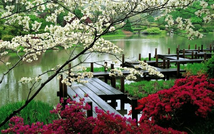 Washington Park Garden japansk stil treet blomstrer Lake