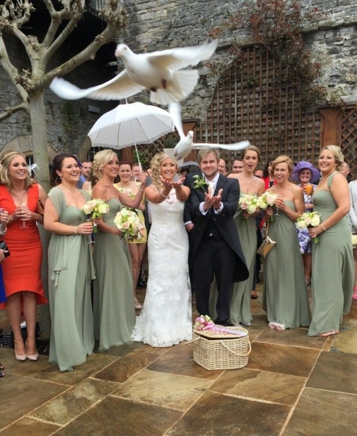 White Wedding Dove-the-fly tillsammans