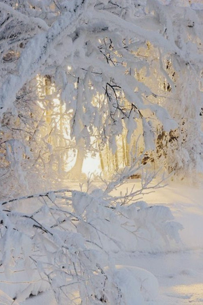 Imagine de iarnă cu motive de zăpadă copaci acoperite cu zăpadă-