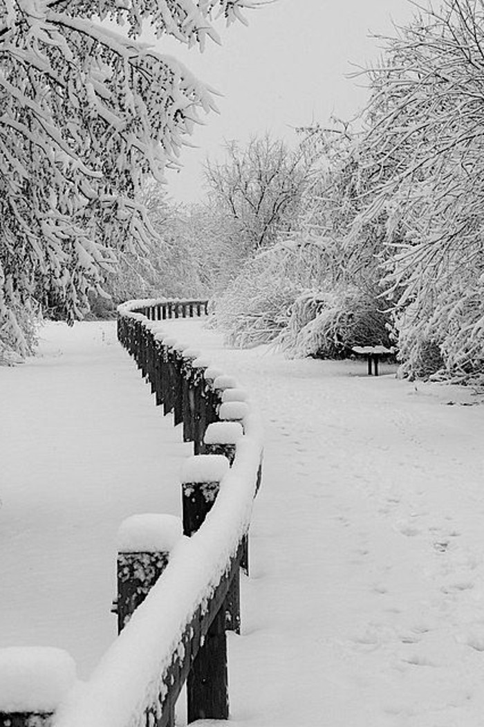 Vinter bilde av Minnesota Wintermotive snø romantikk