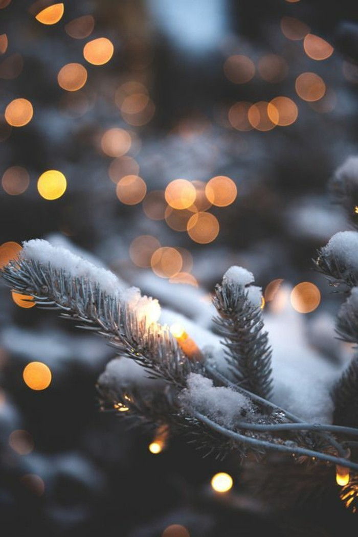 Kış Resimleri Noel köknar dalları kaplı-kar-küçük olan ışıklar