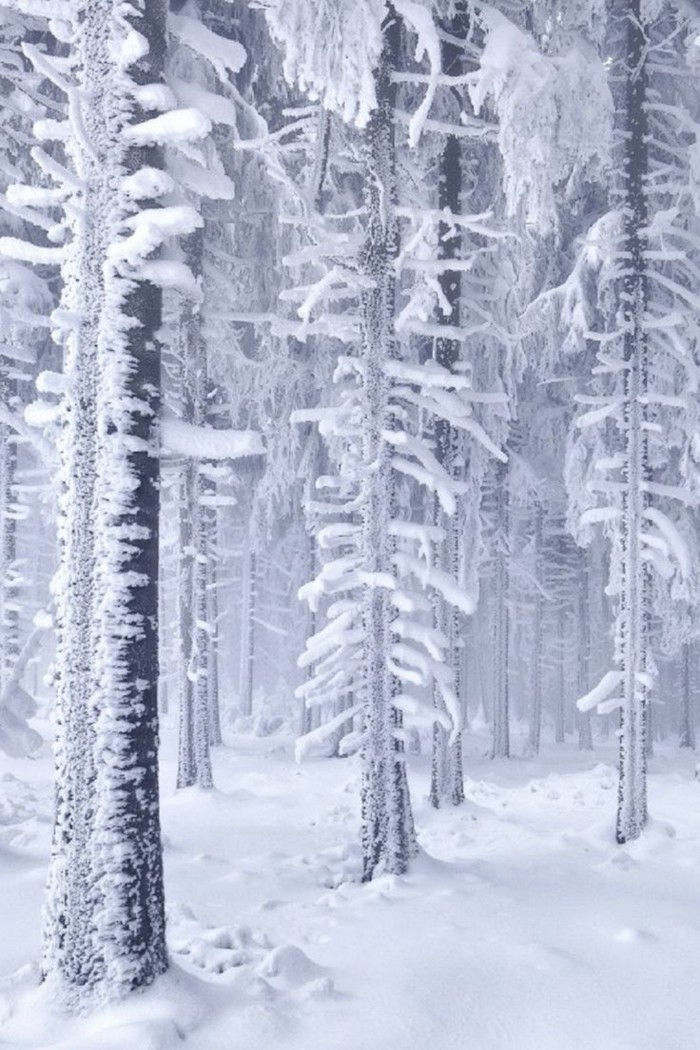 Paisagem de Inverno imagens em fotografias com-Inverno motivos