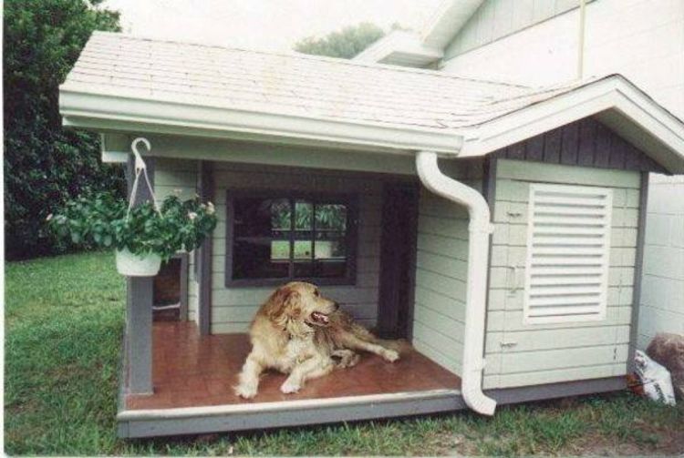 paprastas-šuo-namas-madingas-Chic-su-veranda-kilnus-state-in-the-sodo