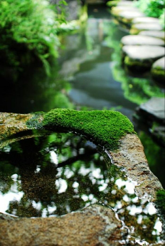gradina Zen fântână cu apă mușchi
