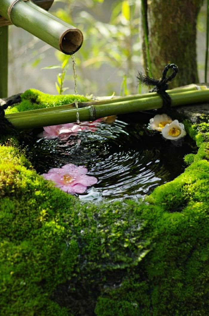 Zen Garden Japan-Azija-Flower bambusa