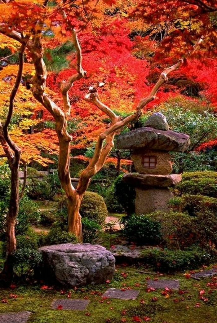 Zen Garden Japan-Azija-Bonsaj drevesa kamni