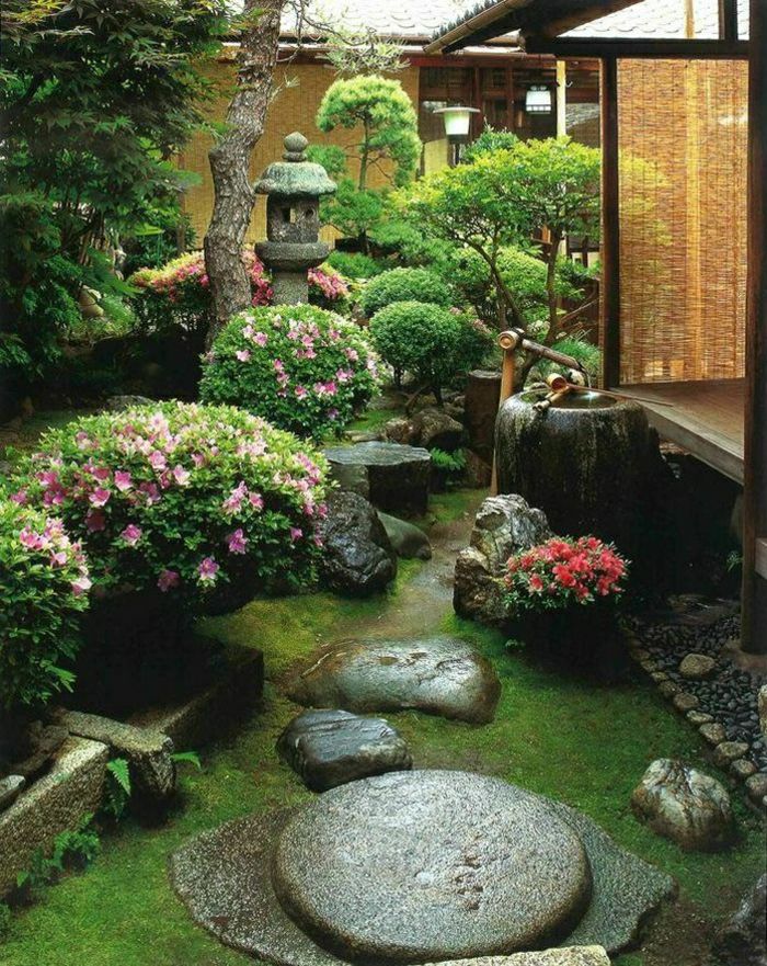 Zen Garden japonsko-eksotičnih grmovje kamni