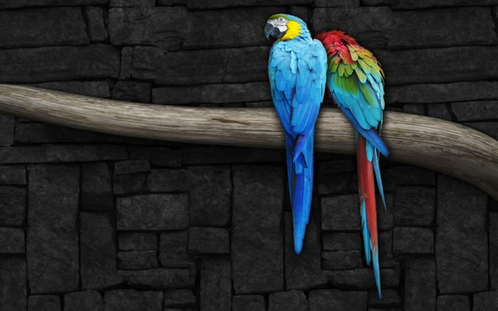 arta abstractă bicolor Parrot pe un arbore ramură