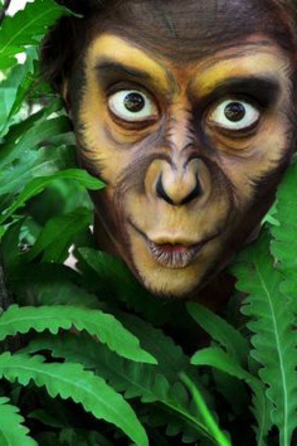 maimuță-machiaj-foarte-cool look-