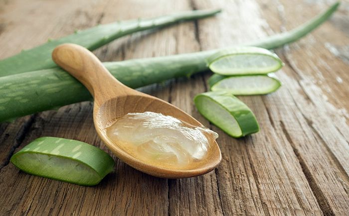 Saç dökülmesi, Aloe Vera şifalı doğal bir ilaçtır, aloe vera jel ,, tahta kaşık, aloe bitkisinin parçaları