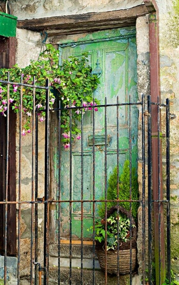 old-zielone drzwi ogrodzenia wisząca doniczka
