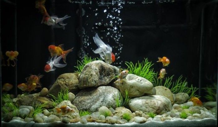 akvárium-device-aqarium-deco-akvárium-for-rýb-customize-stones-
