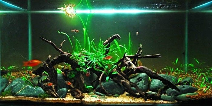 Akvarij-naprava-z-kamni-pesek-in-Asten akvarij-light-akvarij-make