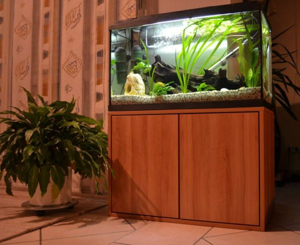 akvarium lågbordskåpa och en grön växt som dekoration