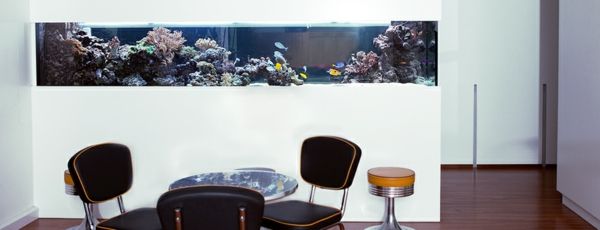 acvariu separator cameră în spatele mesei - design alb perete