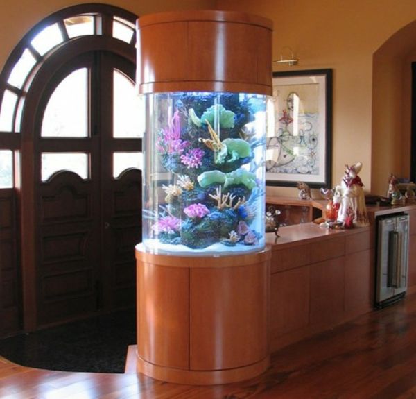 acvariu separator-in-house - cu o ușă frumoasă