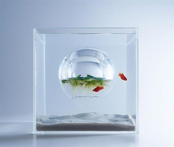 aquarium-give-de-mooie-begrip-of-Haruka