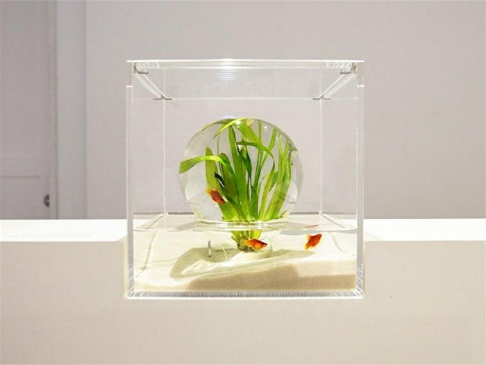 aquarium-give-the-prototype-of-Misawa