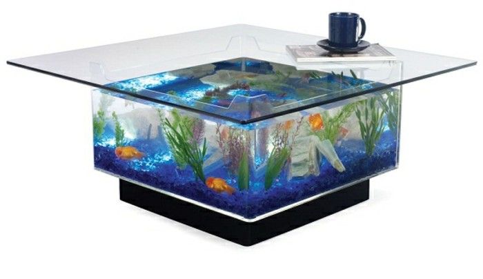 aquarium-give-a-aquarium-can-very-original-kijken