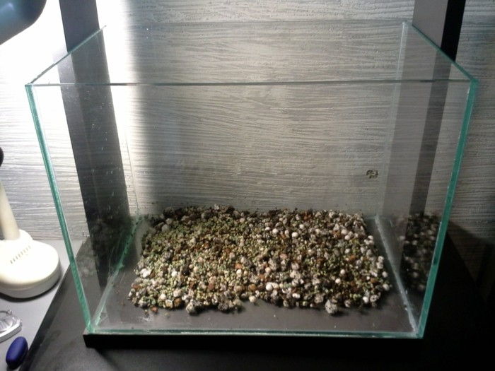 akvárium-dať-a-simple-aquarium