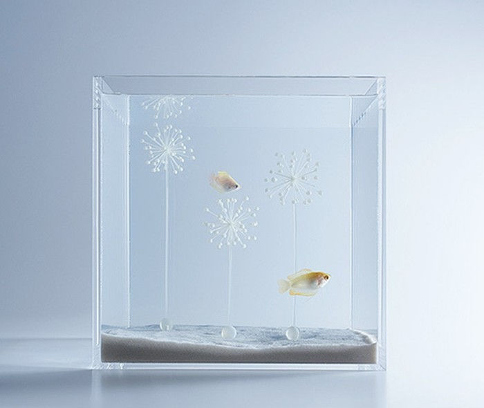 aquarium-give-the-misawas aquaria een-