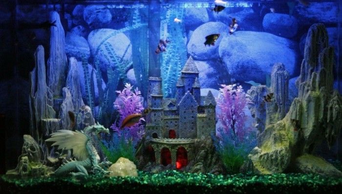 Akvarij-zaprta-akvarij-deco-zmaj-kamni-malo-eksotično-riba-akvarij-set