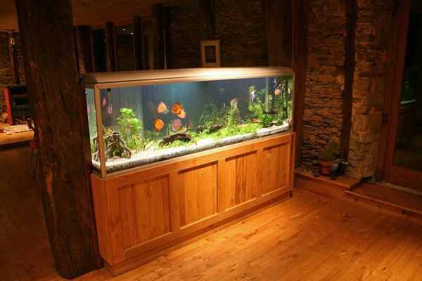 akvarium-skåp-från-trä-enkel-belysning-lyxig lägenhet