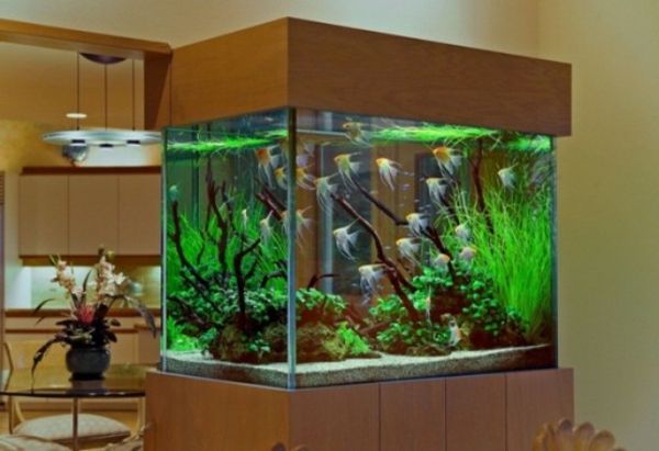zanimiv model akvarija v jedilnici