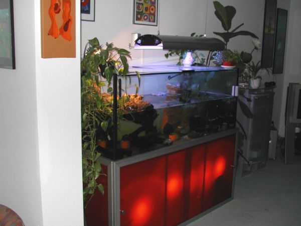 akvarium skåp ny modell rött ljus och gröna växter