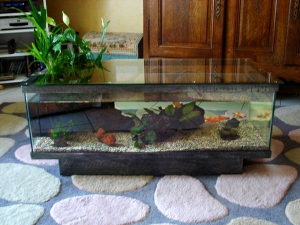 aquário-mesa-de-tapete