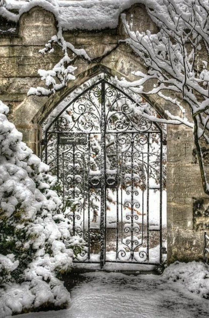 Retrato do inverno aristocrática Portão de ferro árvores cobertas-com-neve