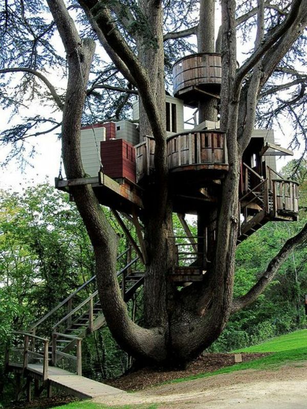 attraktiv arkitektur-tree-in-house-vackra arkitektur