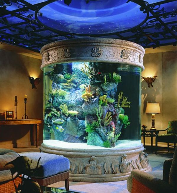 výnimočný-dekorácie akvarijné