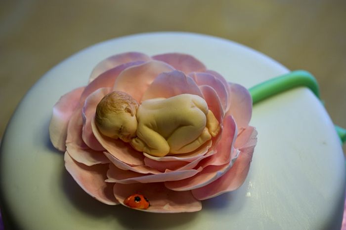 baby-plăcintă-un-frumos-trandafir