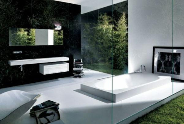 badkamer decoratie moderne inrichting - glazen wand en groene planten