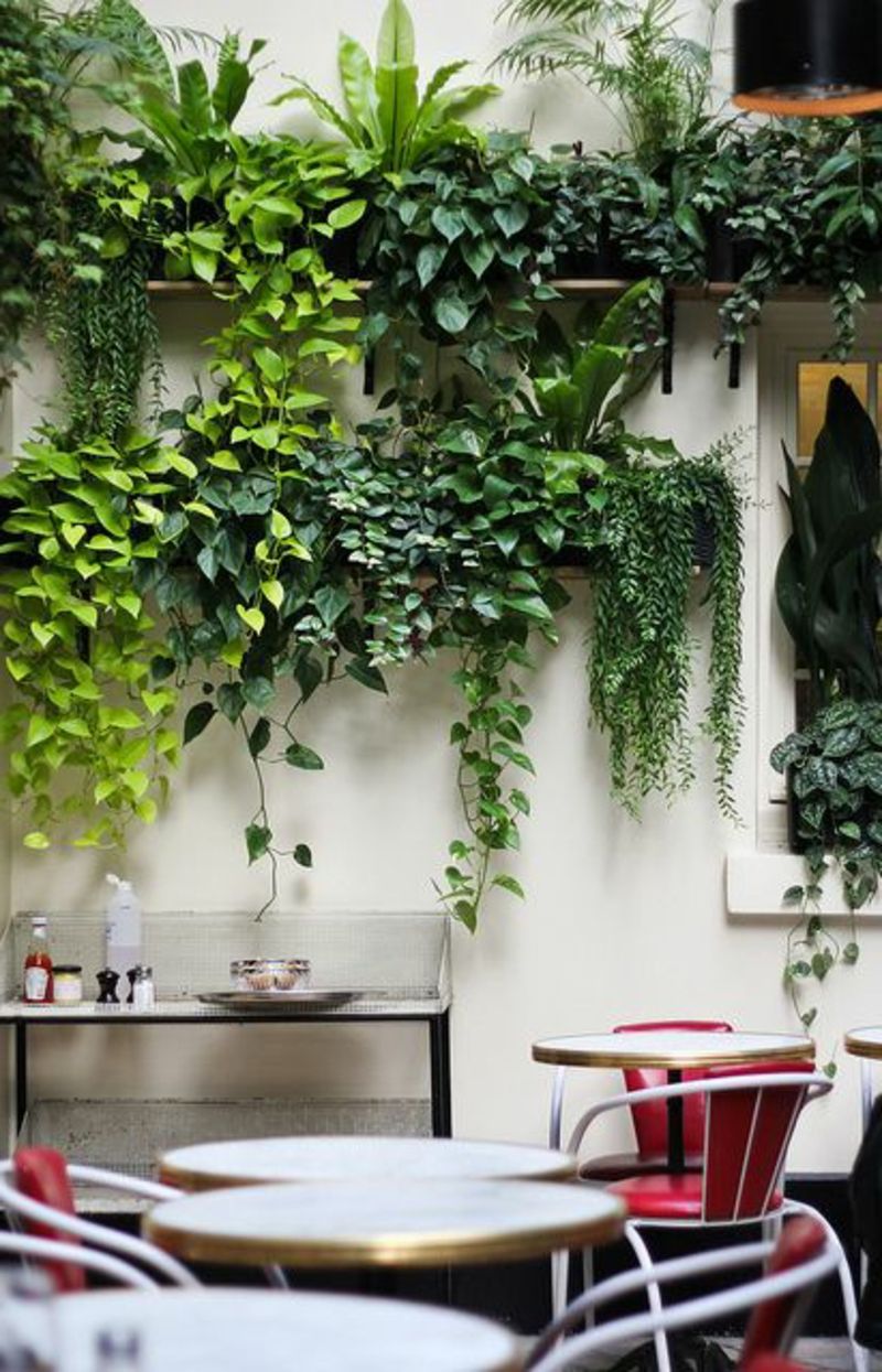 piese balcon-plante-atractiv-mobilier