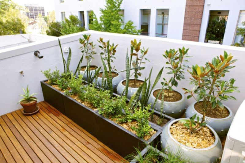 balcon-plantă-rece-model de-balcon multe plante