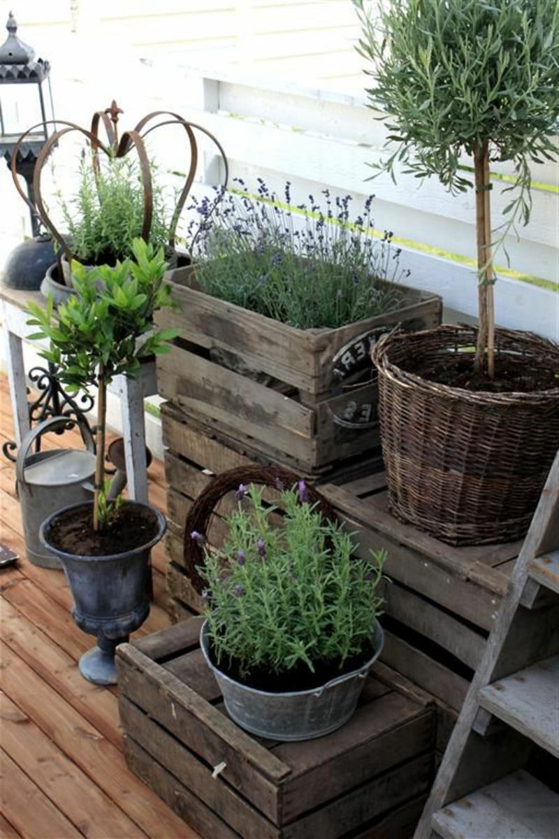 balcon plante de plantare cutii cu green--