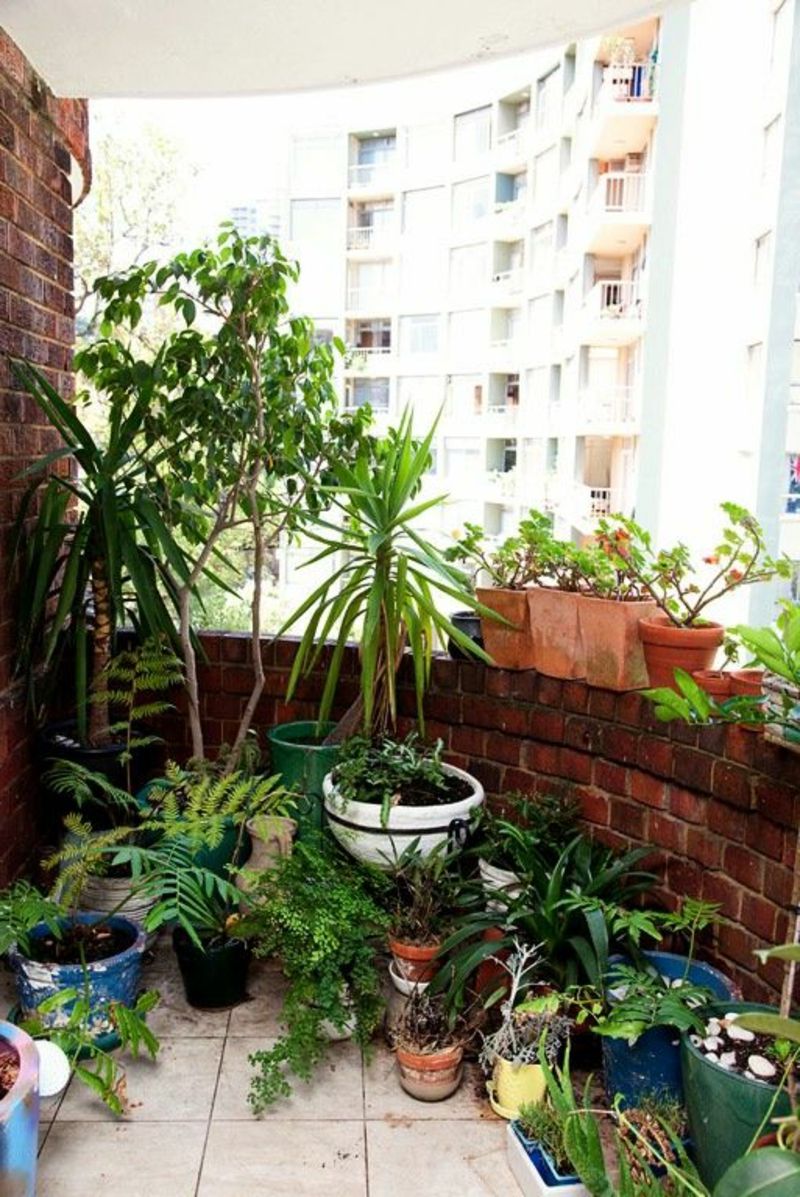 balcon-plantă-super-moderne-uite