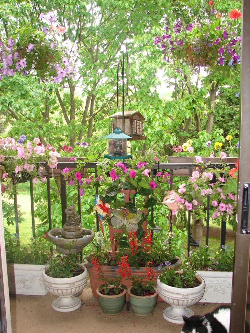 balcon-plantă-super-multi-frumoase flori-